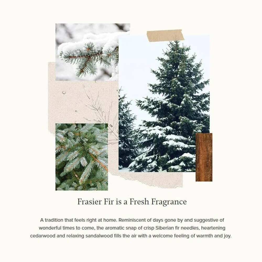 Frasier Fir Reed Diffuser Set – Includes Reeds, Fragrance Oil, and Frosted Glass - Picture 3 of 6